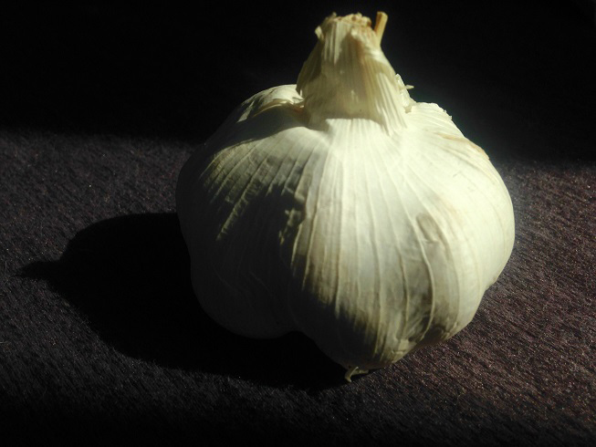 Garlic