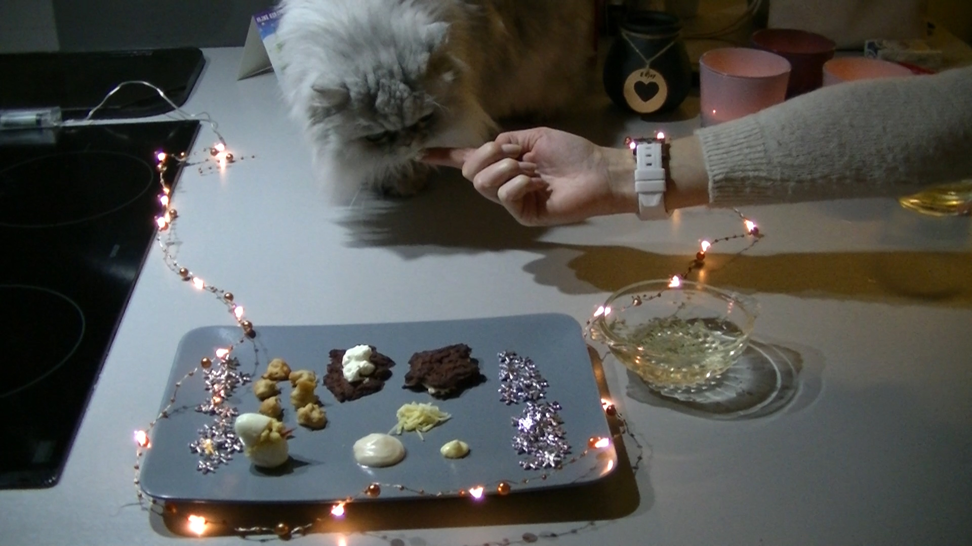 Silver the cat eats catfriendly christmas dinner